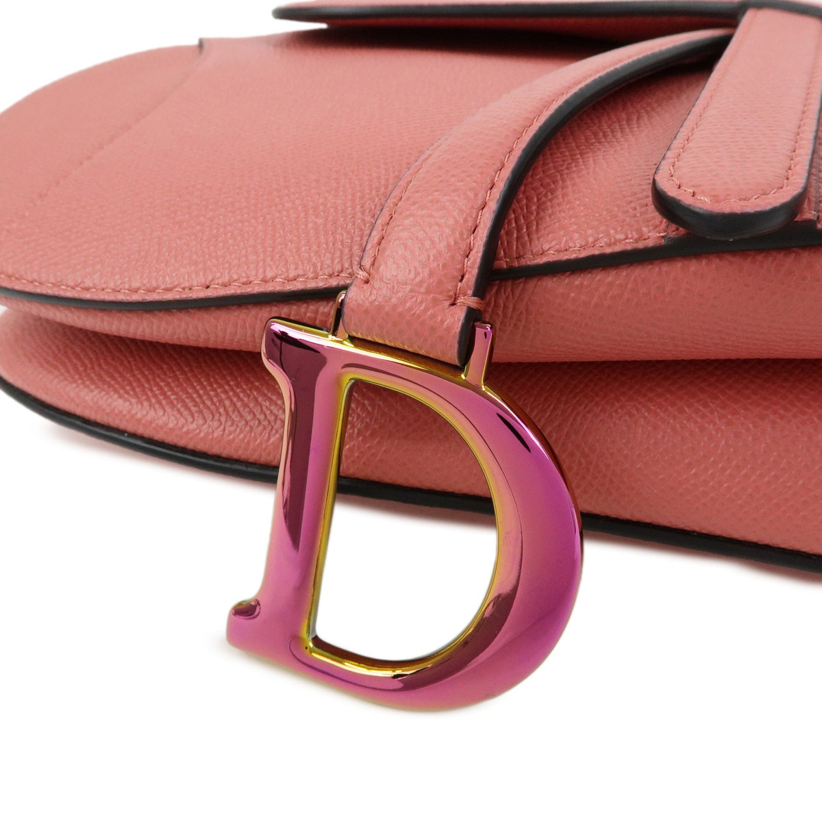 Christian Dior Saddle Embroidered Printed Leather Pink Leather Handbag (Pre-Owned)