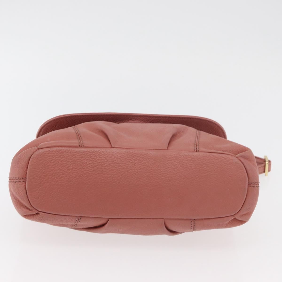 Burberry Blue Label Nylon Pink Leather Shoulder Bag Bag (Pre-Owned)