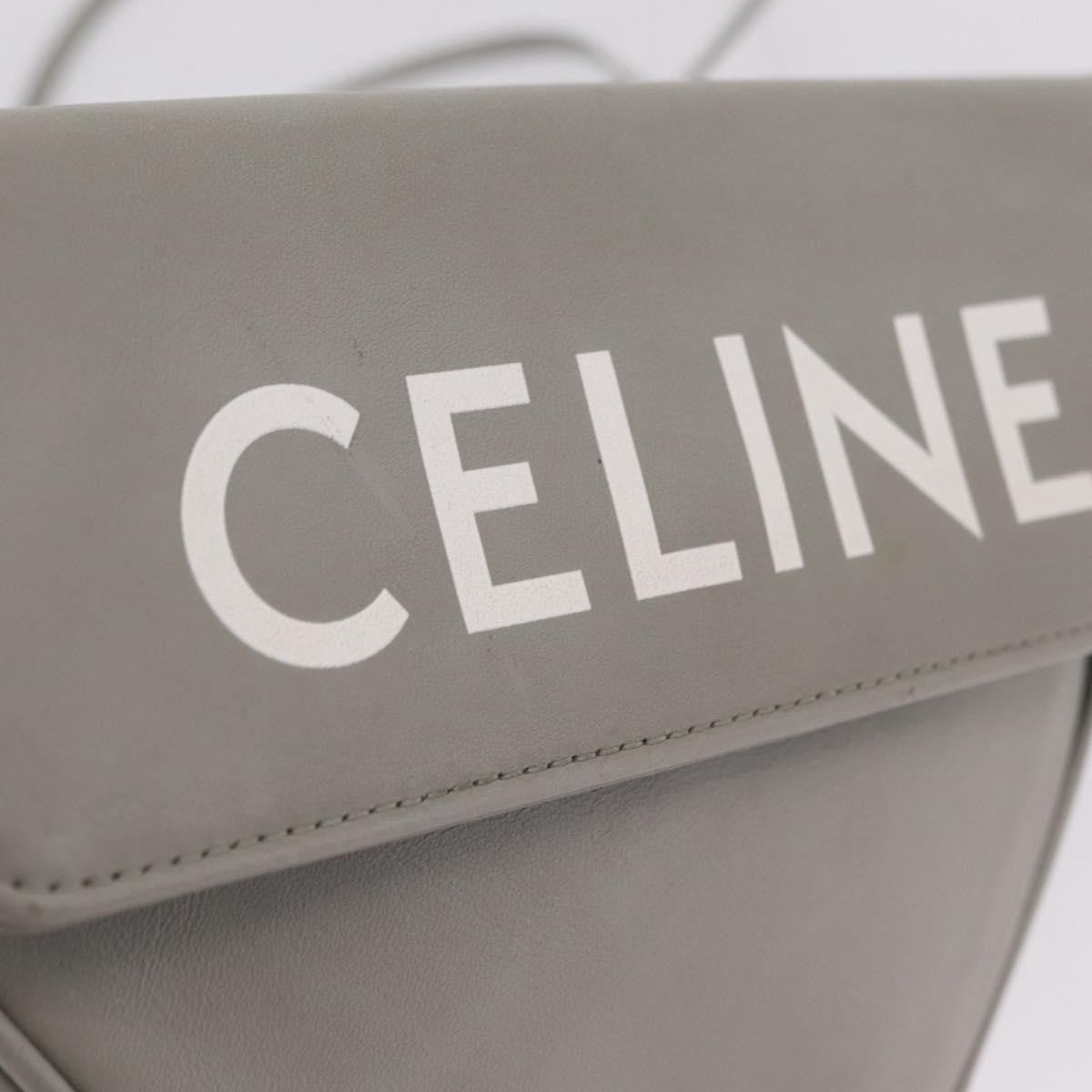 Celine Triangle Leather Gray Leather Handbag (Pre-Owned)
