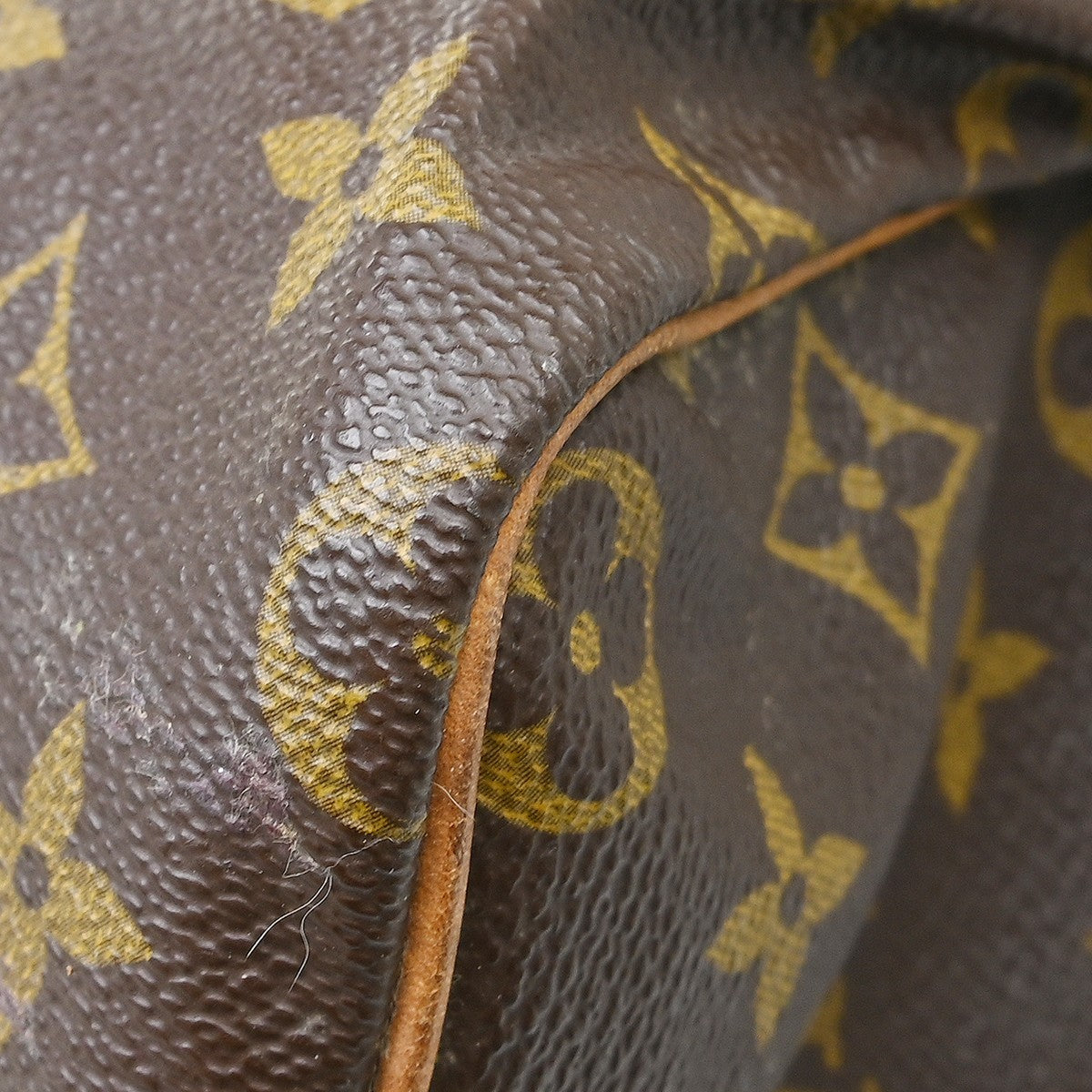 Louis Vuitton Speedy Monogram Canvas Brown Canvas Handbag (Pre-Owned)