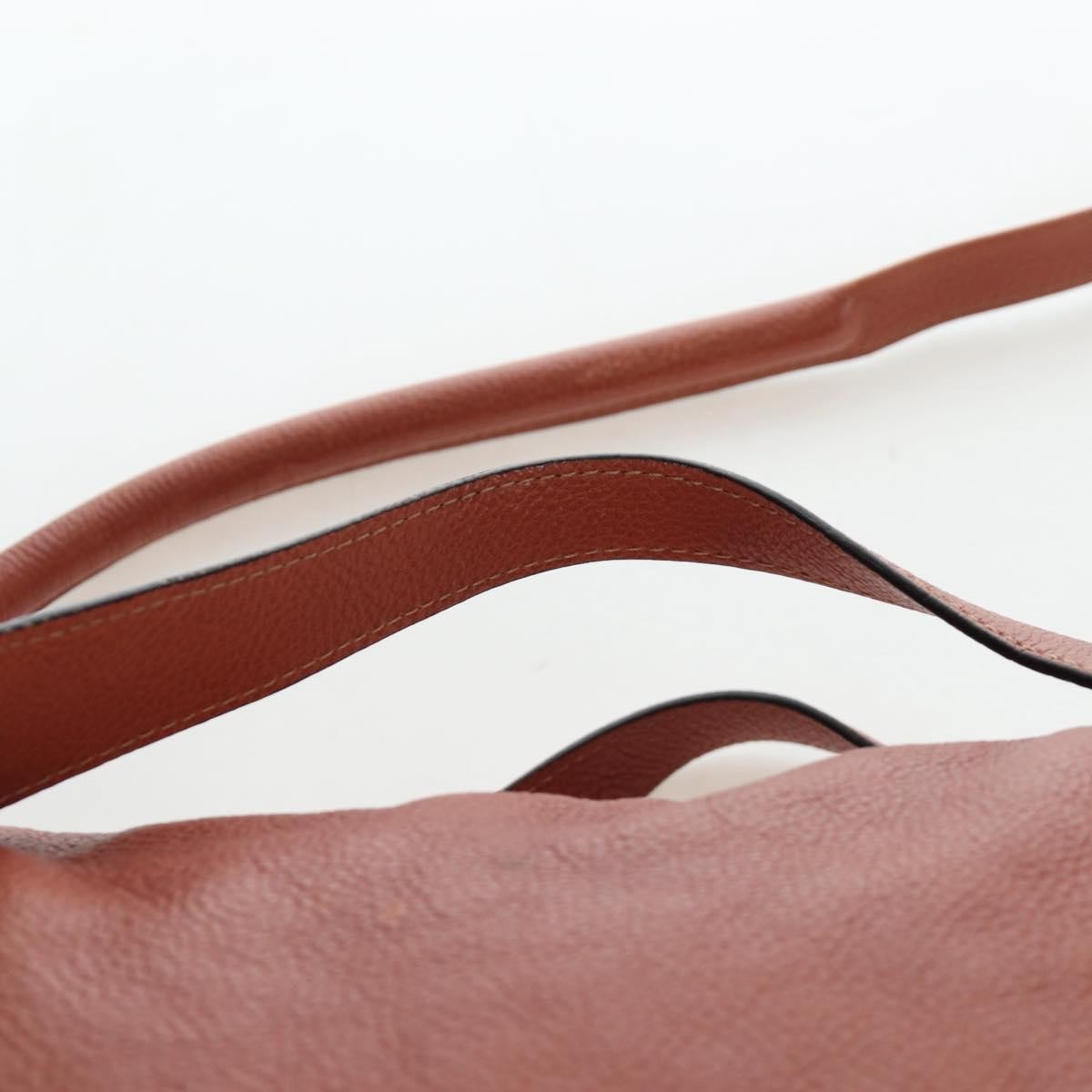 Chloe Paraty Quilted Leather Brown Leather Handbag (Pre-Owned)