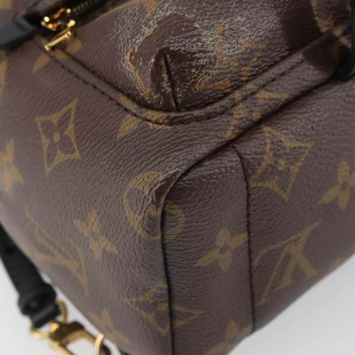 Louis Vuitton Palm Springs Monogram Canvas Brown Canvas Backpack Bag (Pre-Owned)