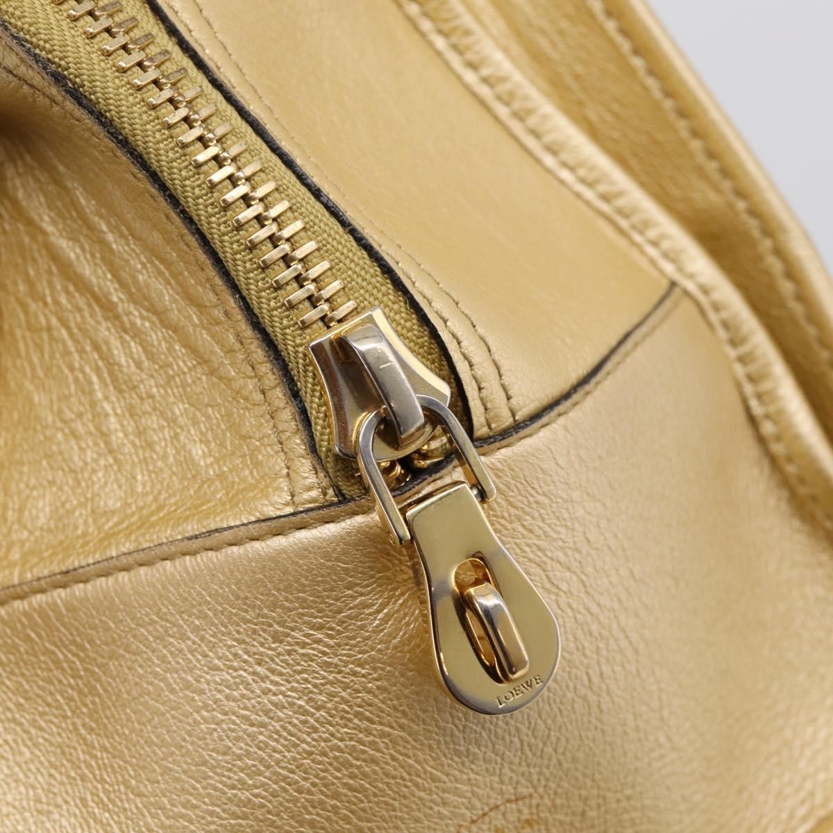 Loewe Amazona Leather Gold Leather Handbag (Pre-Owned)