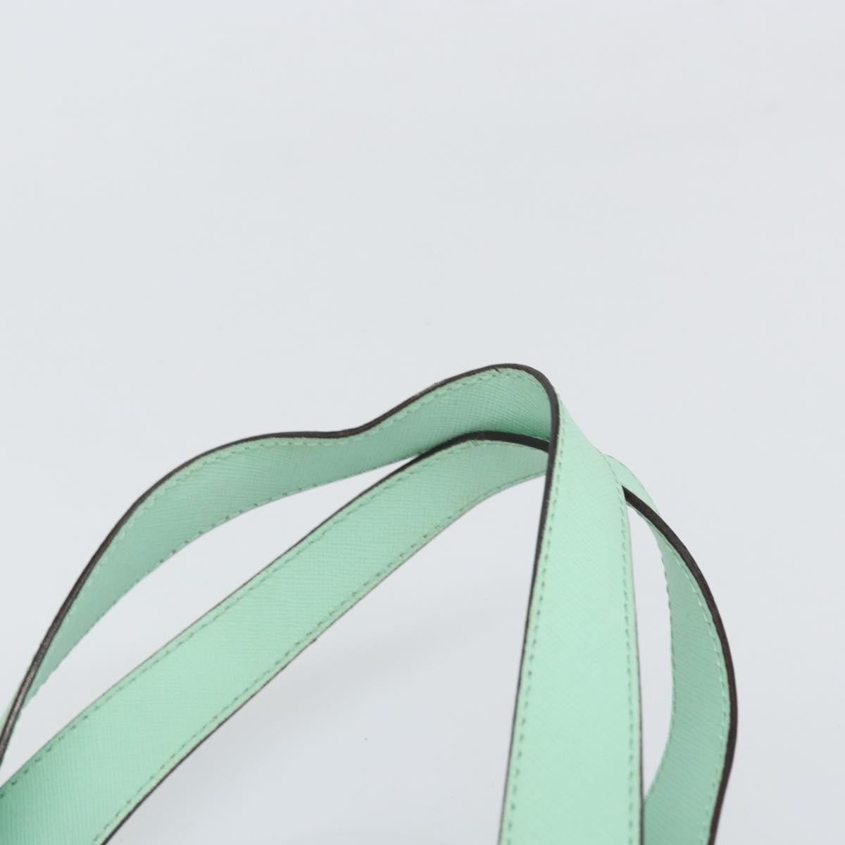 Celine Circle Logo Leather Green Leather Handbag (Pre-Owned)