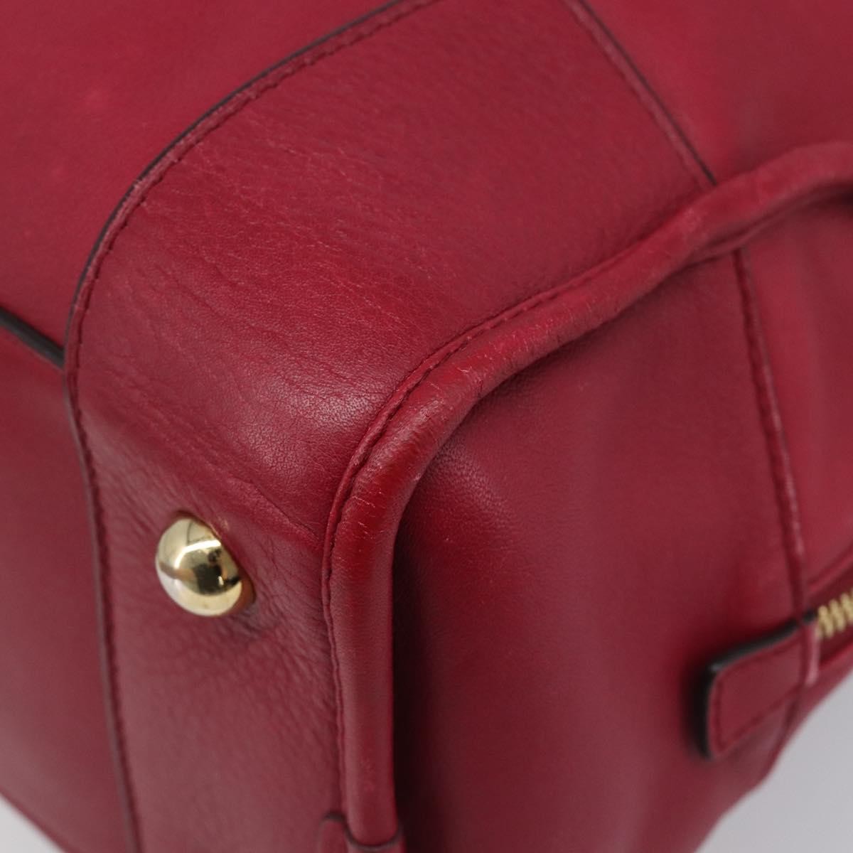 Loewe Amazona Leather Red Leather Handbag (Pre-Owned)