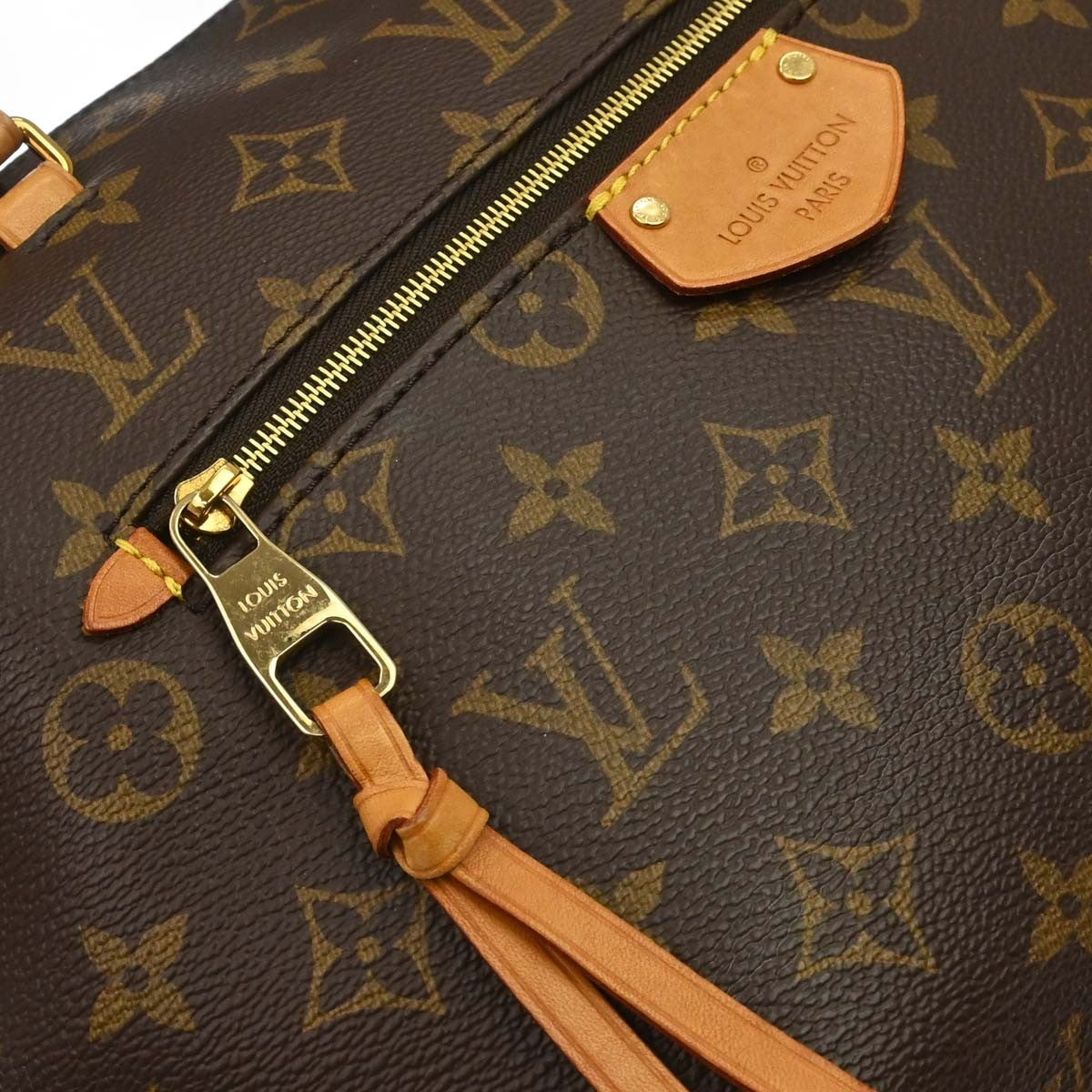 Louis Vuitton Iena Tote Monogram Canvas Brown Canvas Tote Bag Bag (Pre-Owned)