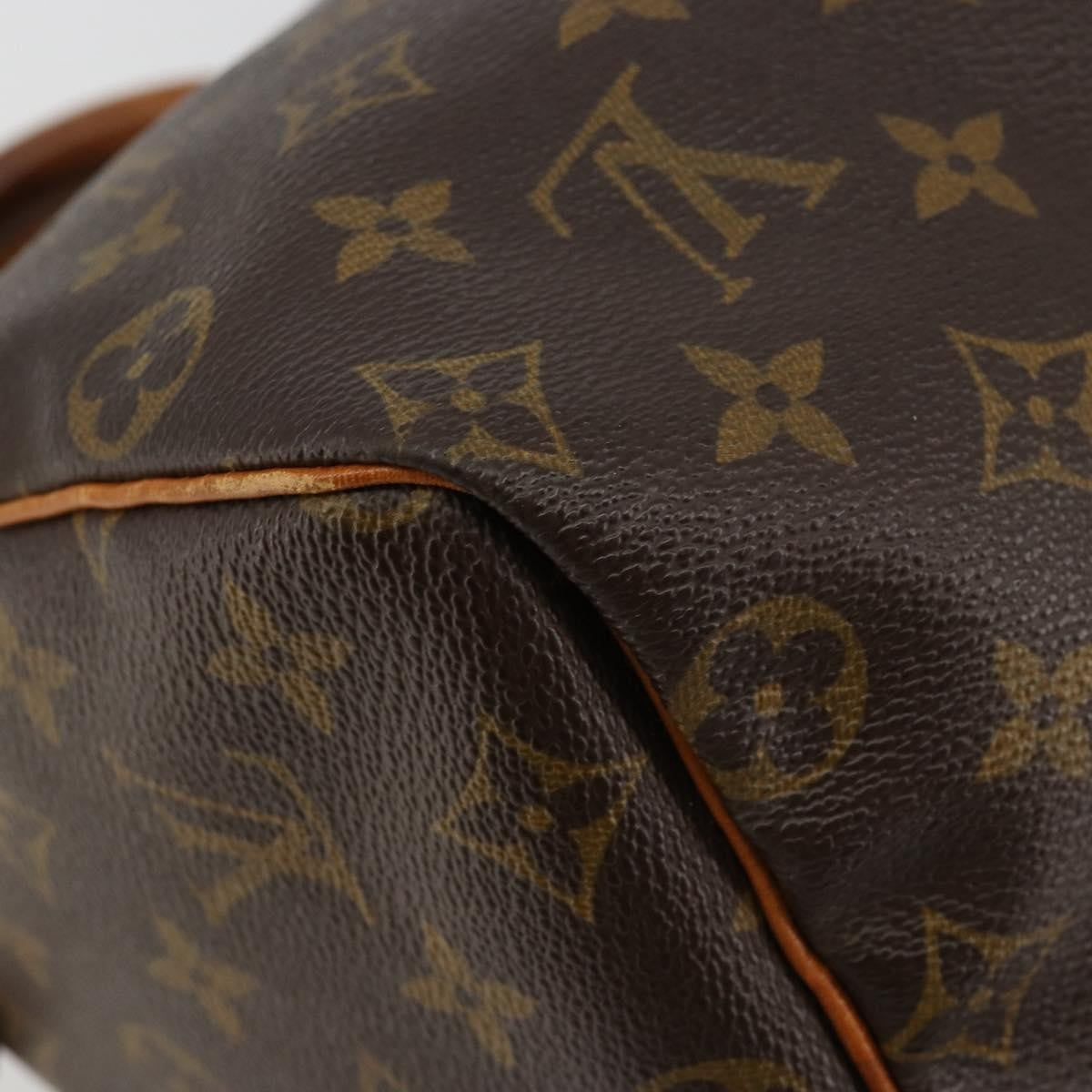 Louis Vuitton Speedy Monogram Canvas Brown Canvas Handbag (Pre-Owned)