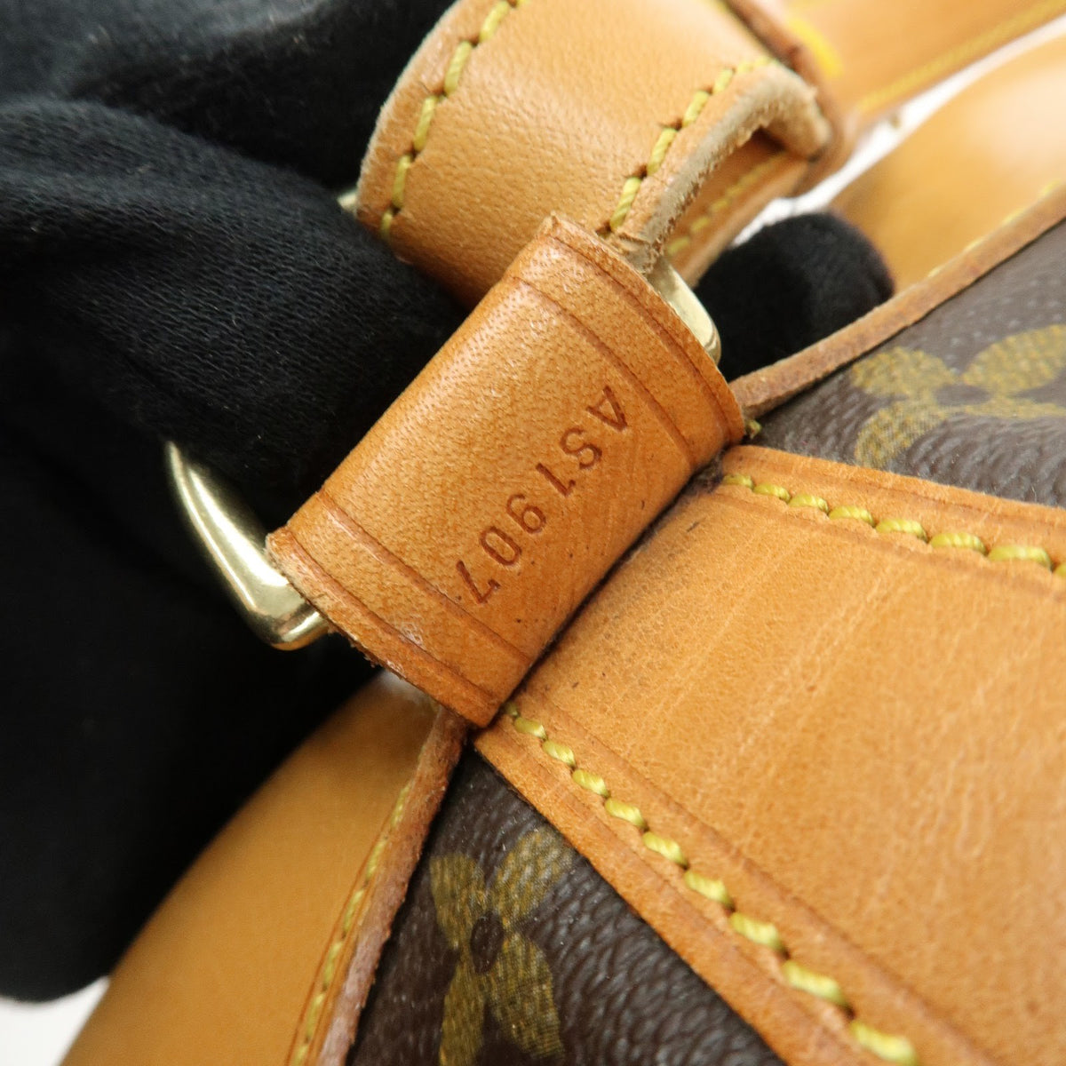 Louis Vuitton Randonnee Monogram Canvas Brown Canvas Backpack Bag (Pre-Owned)