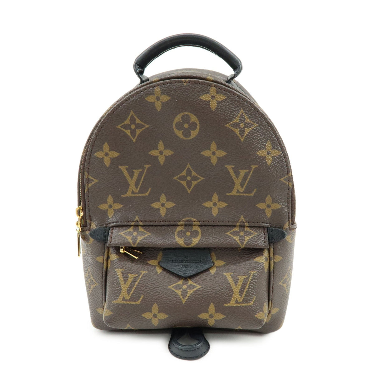 Louis Vuitton Palm Springs Monogram Canvas Brown Canvas Backpack Bag (Pre-Owned)