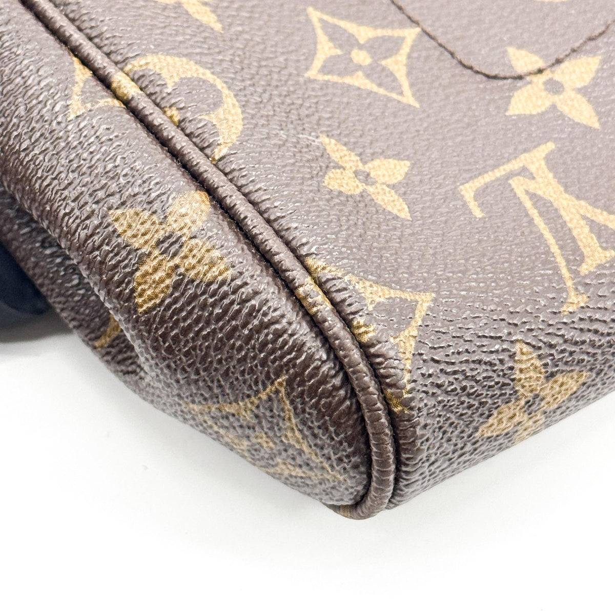 Louis Vuitton Favorite Monogram Canvas Brown Canvas Handbag (Pre-Owned)