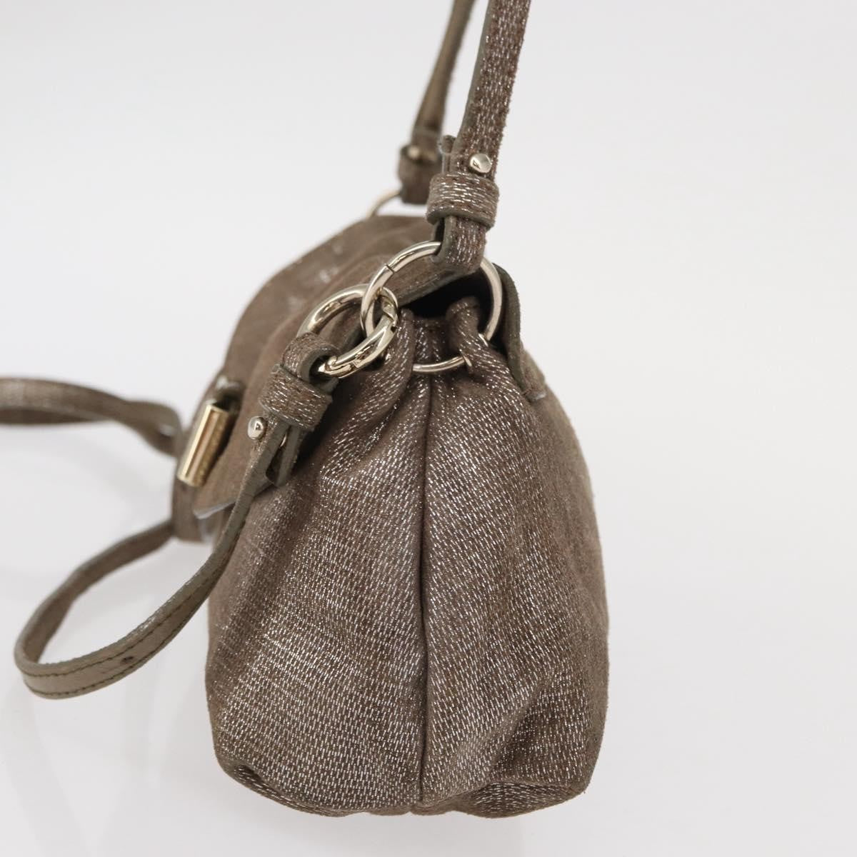 Chloe Lily Canvas Silver Canvas Handbag (Pre-Owned)