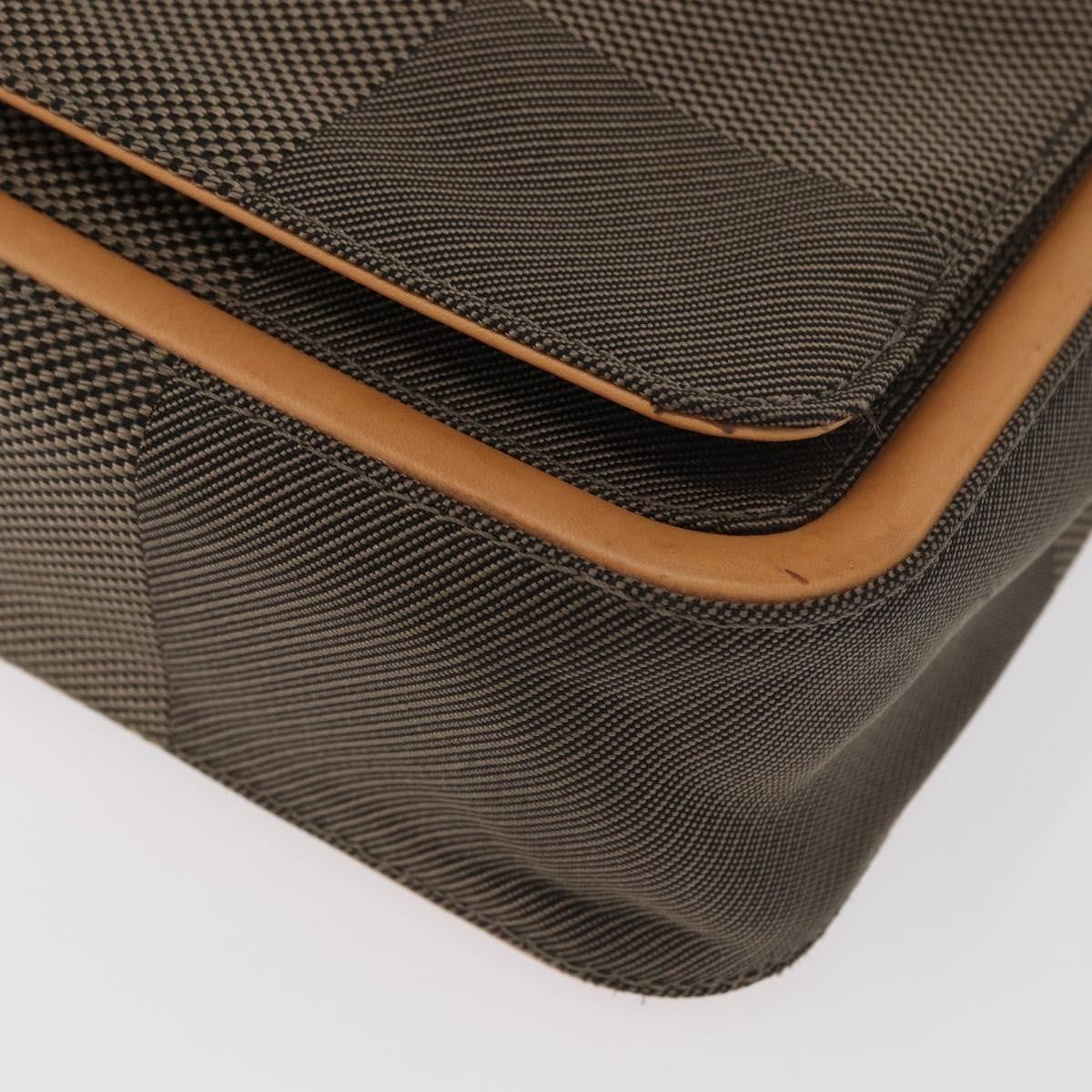 Louis Vuitton Terre Messenger Damier Geant Canvas Brown Canvas Shoulder Bag Bag (Pre-Owned)