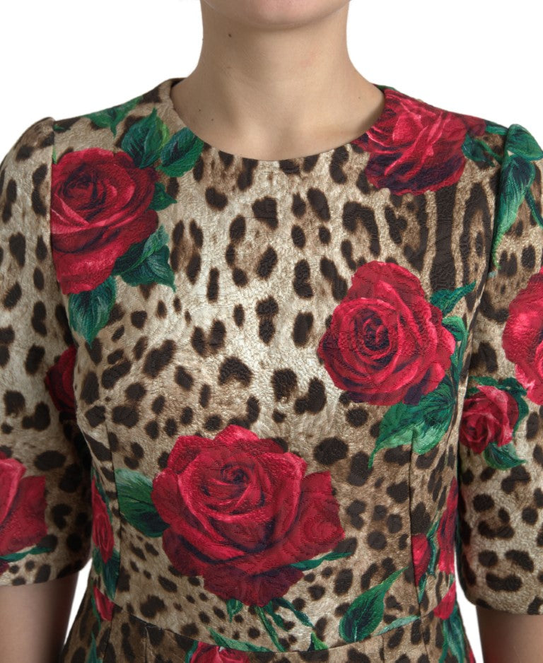 Dolce & Gabbana Floral Leopard Print A-Line Women's Dress