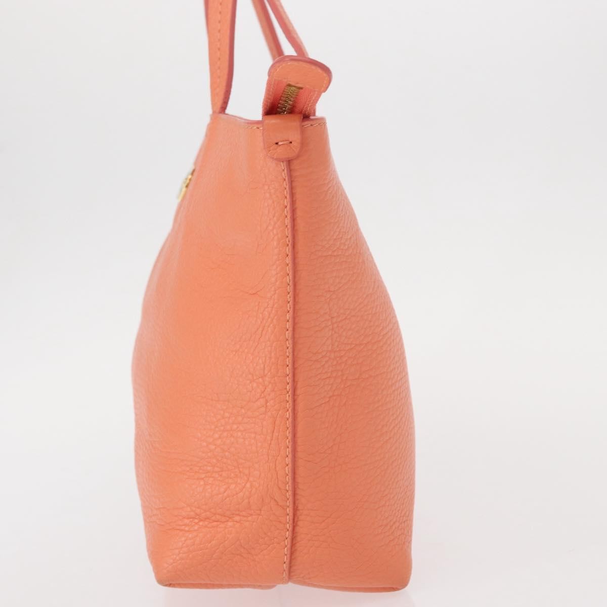 Salvatore Ferragamo Gancini Leather Pink Leather Handbag (Pre-Owned)