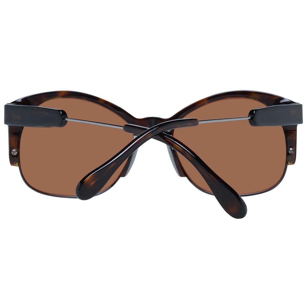 Serengeti Brown Acetate & Metal  Sunglasses