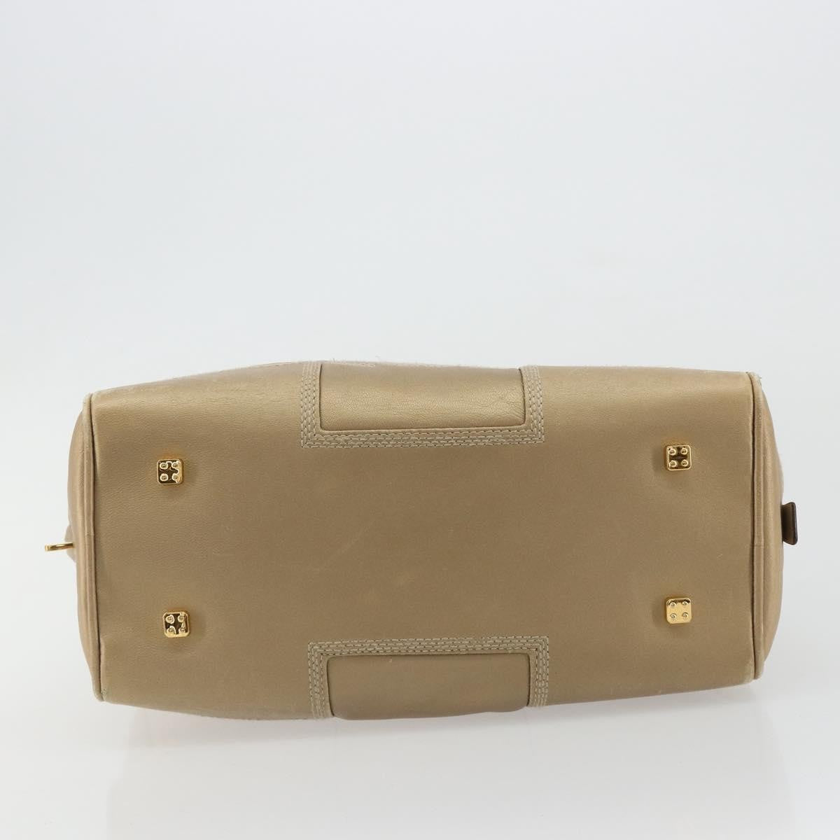 Loewe Amazona Leather Gold Leather Handbag (Pre-Owned)