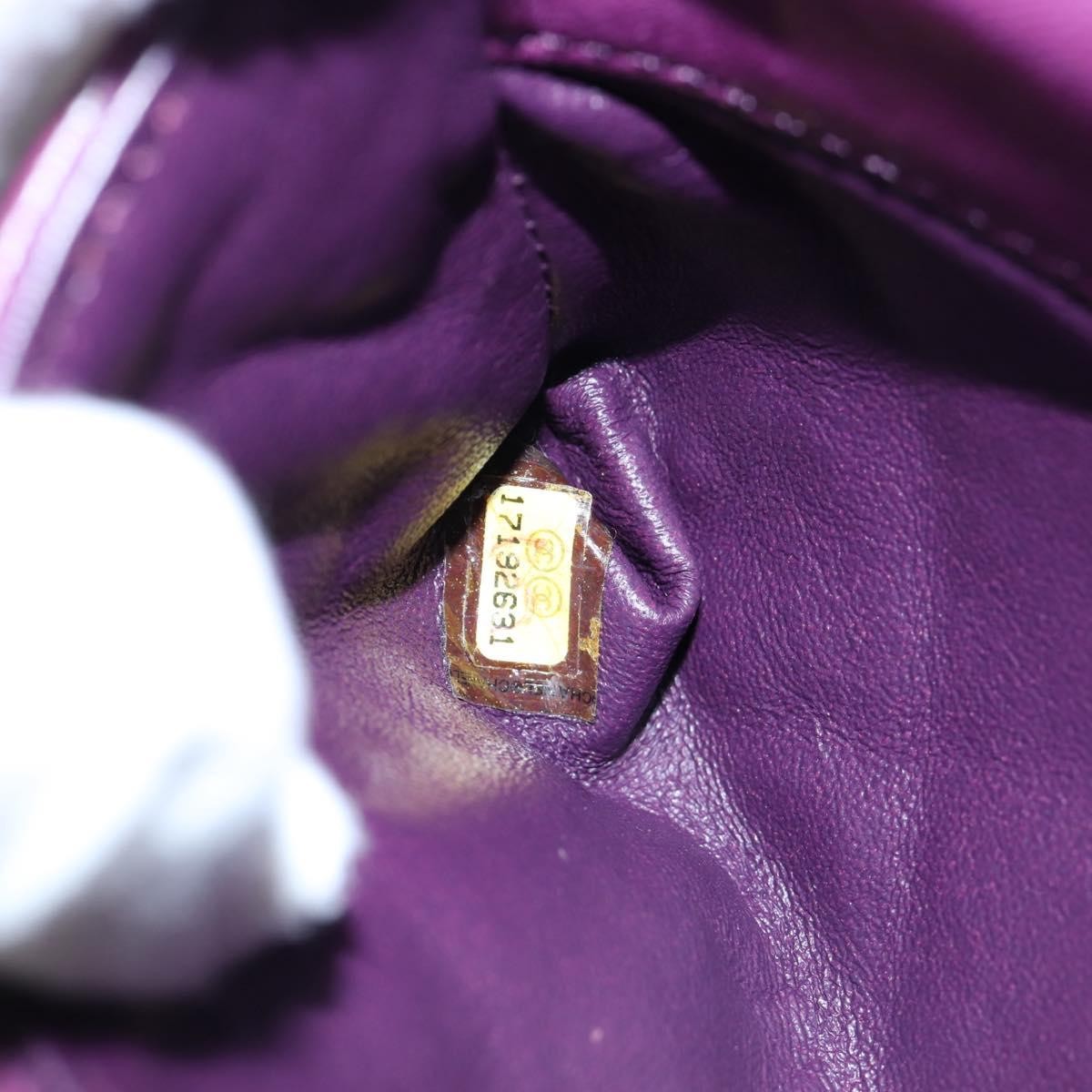 Chanel Mineral Nights Quilted Lambskin Purple Calfskin Crossbody Bag Bag (Pre-Owned)