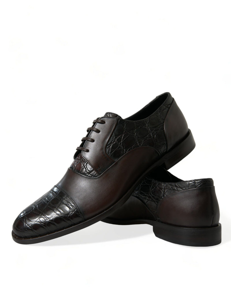 Dolce & Gabbana Elegant Brown Formal Derby Dress Men's Shoes