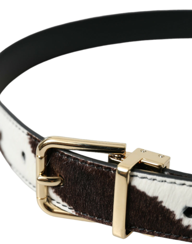 Dolce & Gabbana Brown White Zebra Pony Hair Gold Buckle Women's Belt