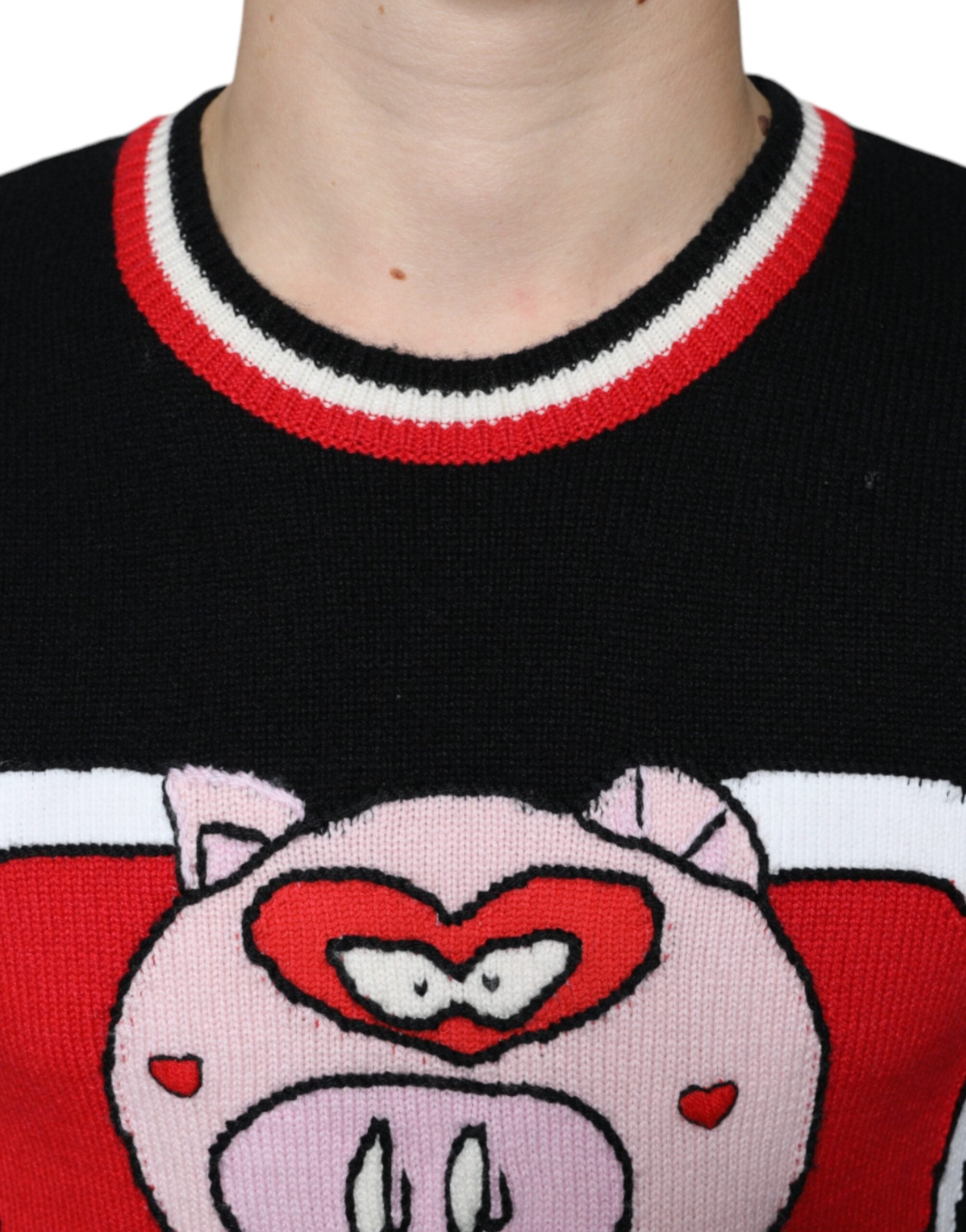 Dolce & Gabbana Black Cashmere Pig of the Year Pullover Men's Sweater
