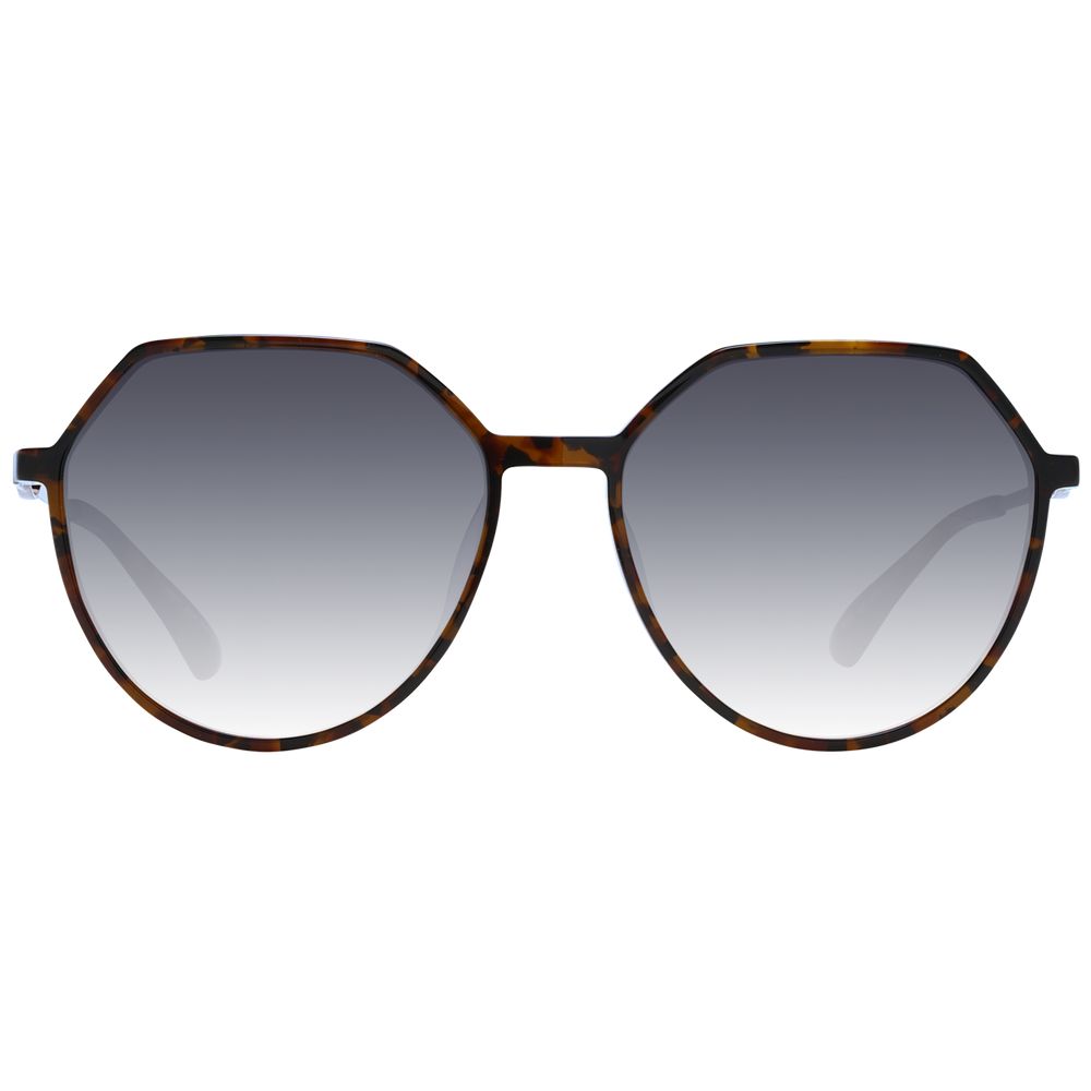 Ana Hickmann Brown Women Women's Sunglasses