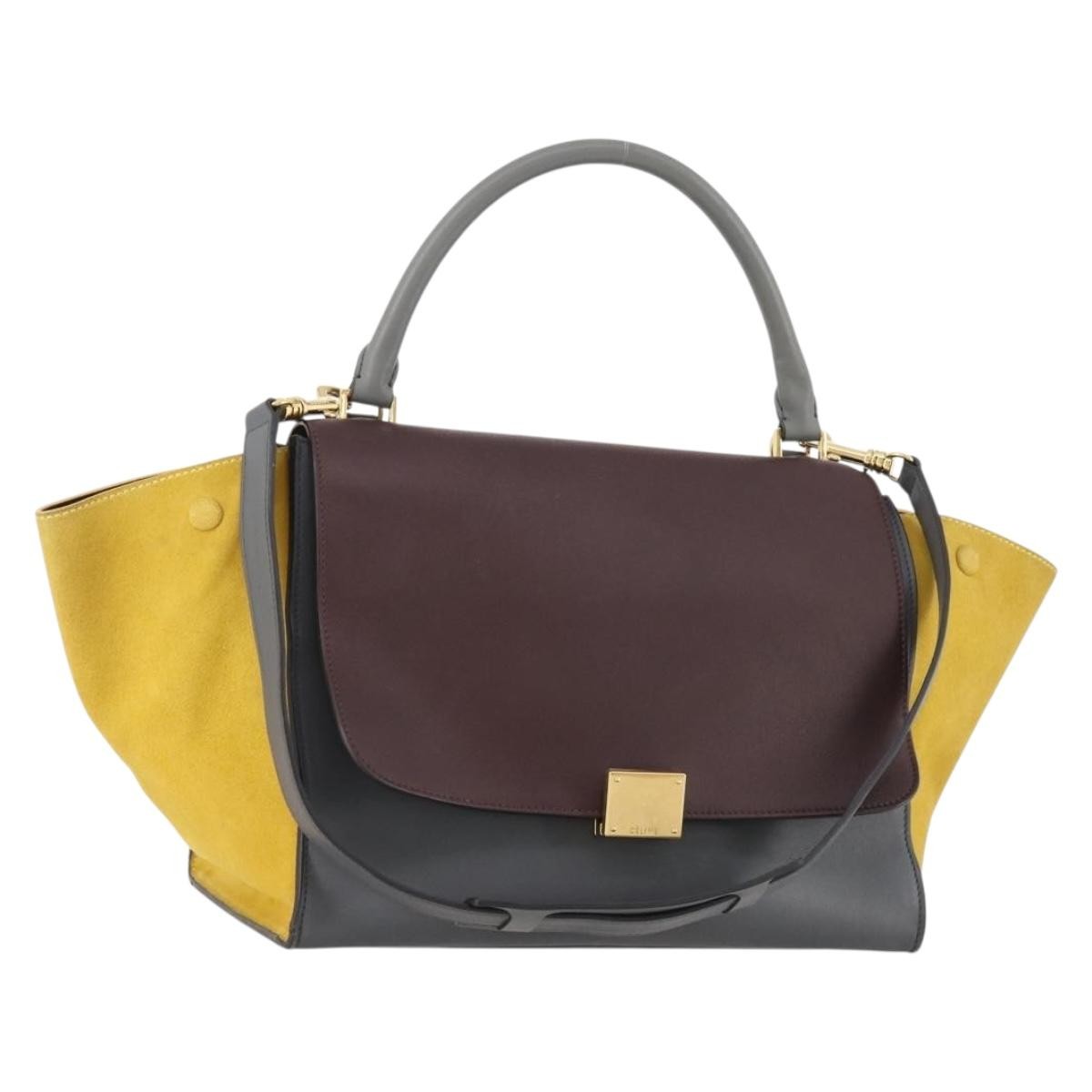 Celine Tricolor Trapeze Leather Multicolour Leather Handbag (Pre-Owned)