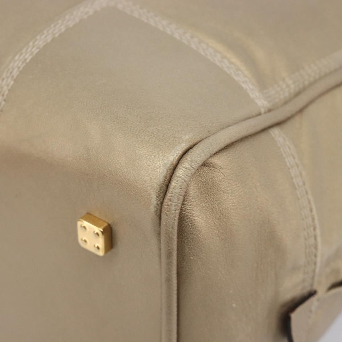 Loewe Amazona Leather Gold Leather Handbag (Pre-Owned)