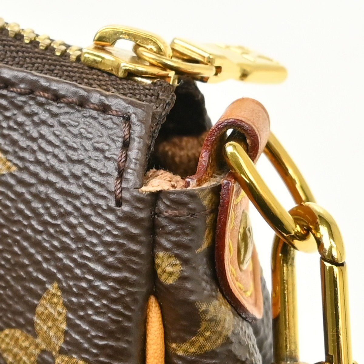 Louis Vuitton Eva Monogram Canvas Brown Canvas Handbag (Pre-Owned)