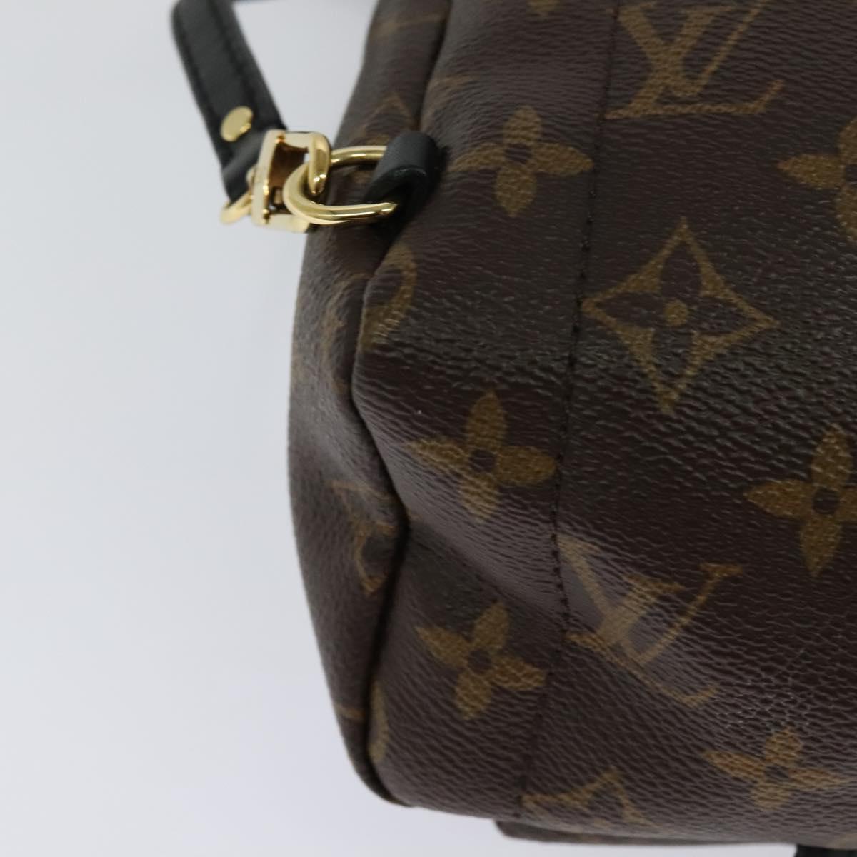 Louis Vuitton Palm Springs Monogram Canvas Brown Canvas Backpack Bag (Pre-Owned)