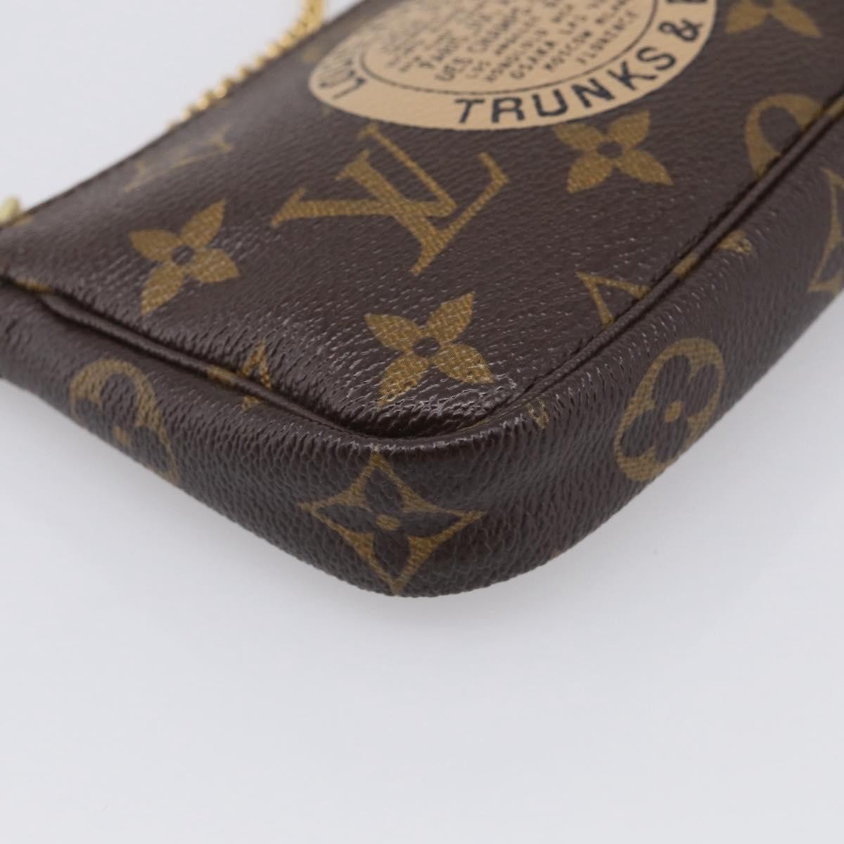 Louis Vuitton Pochette Accessoires Limited Edition Monogram Canvas Brown Canvas Clutche & Pouche Bag (Pre-Owned)