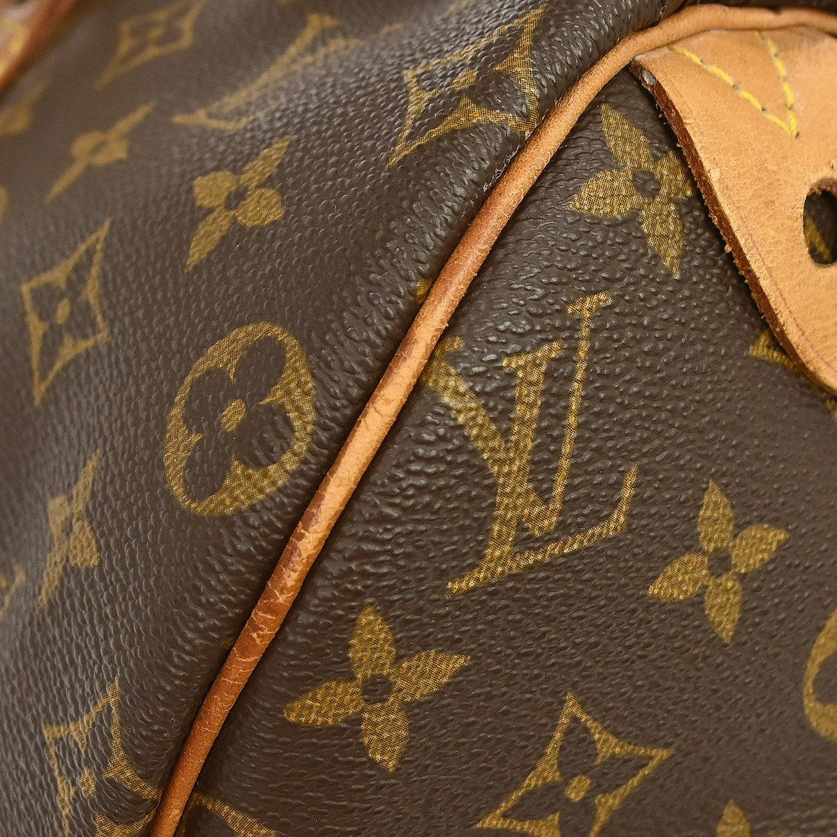 Louis Vuitton Speedy Monogram Canvas Brown Canvas Handbag (Pre-Owned)