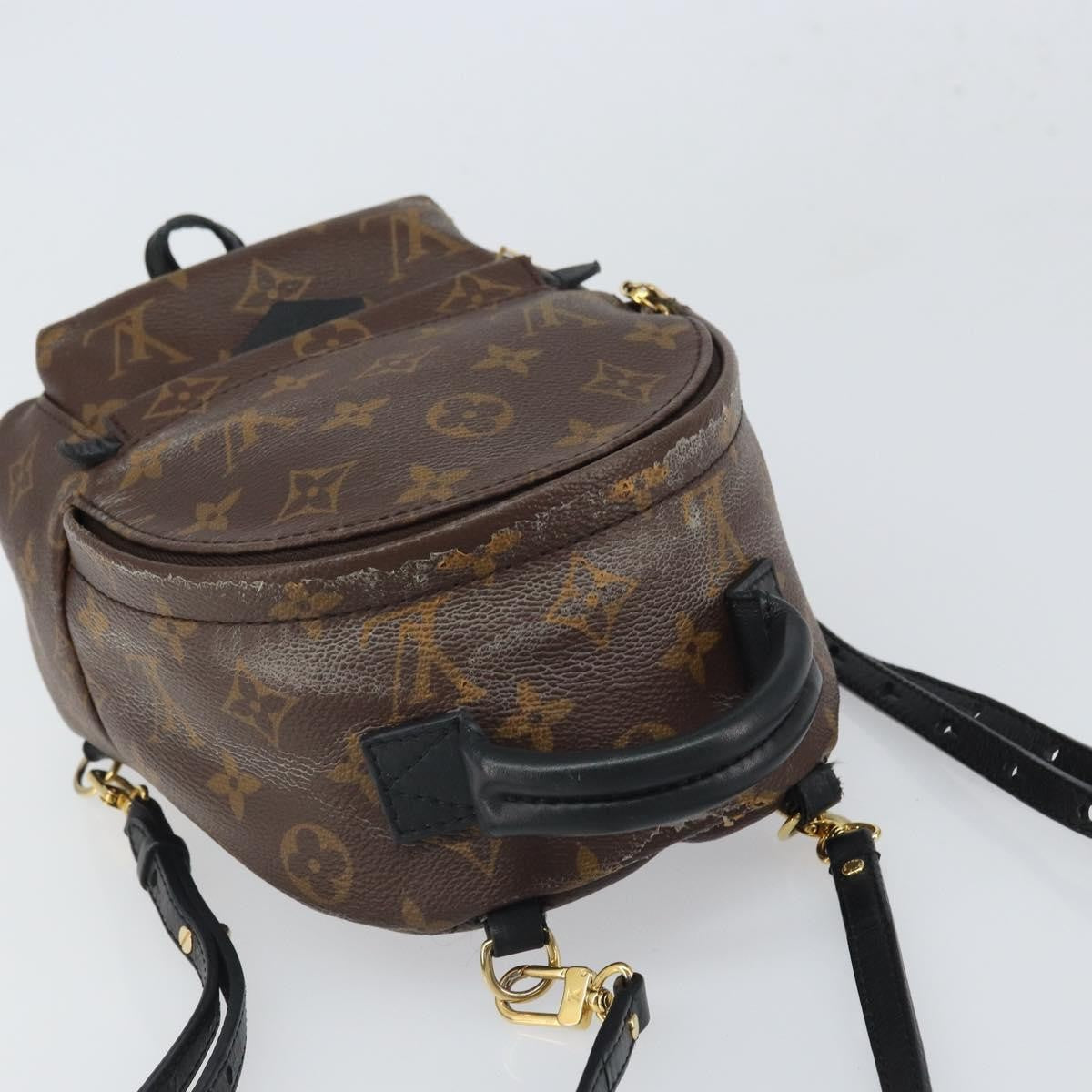 Louis Vuitton Palm Springs Monogram Canvas Brown Canvas Backpack Bag (Pre-Owned)