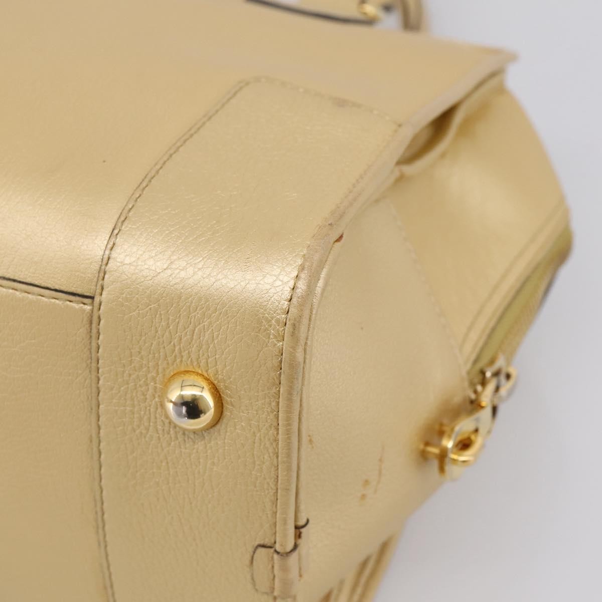 Loewe Amazona Leather Gold Leather Handbag (Pre-Owned)