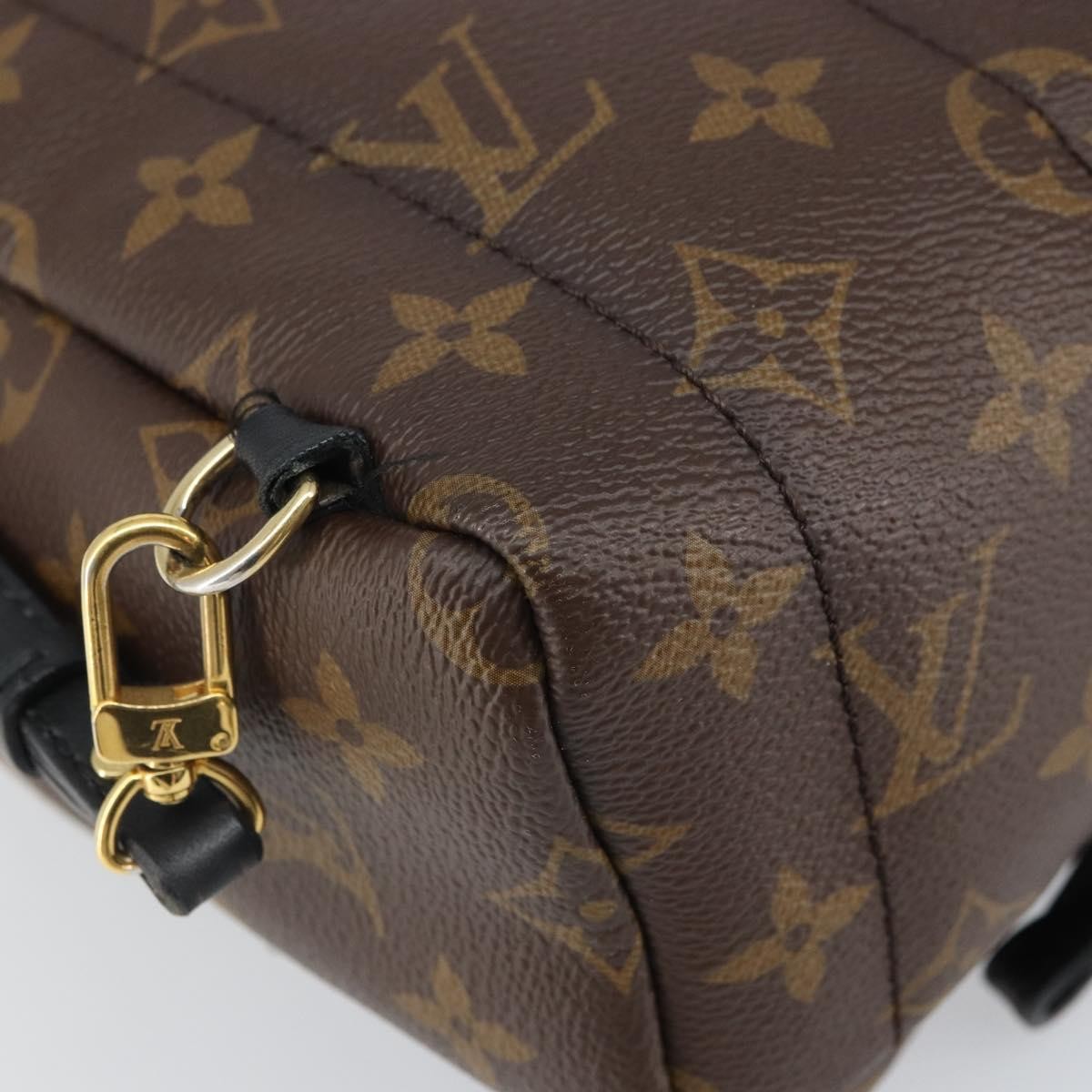 Louis Vuitton Palm Springs Monogram Canvas Brown Canvas Backpack Bag (Pre-Owned)