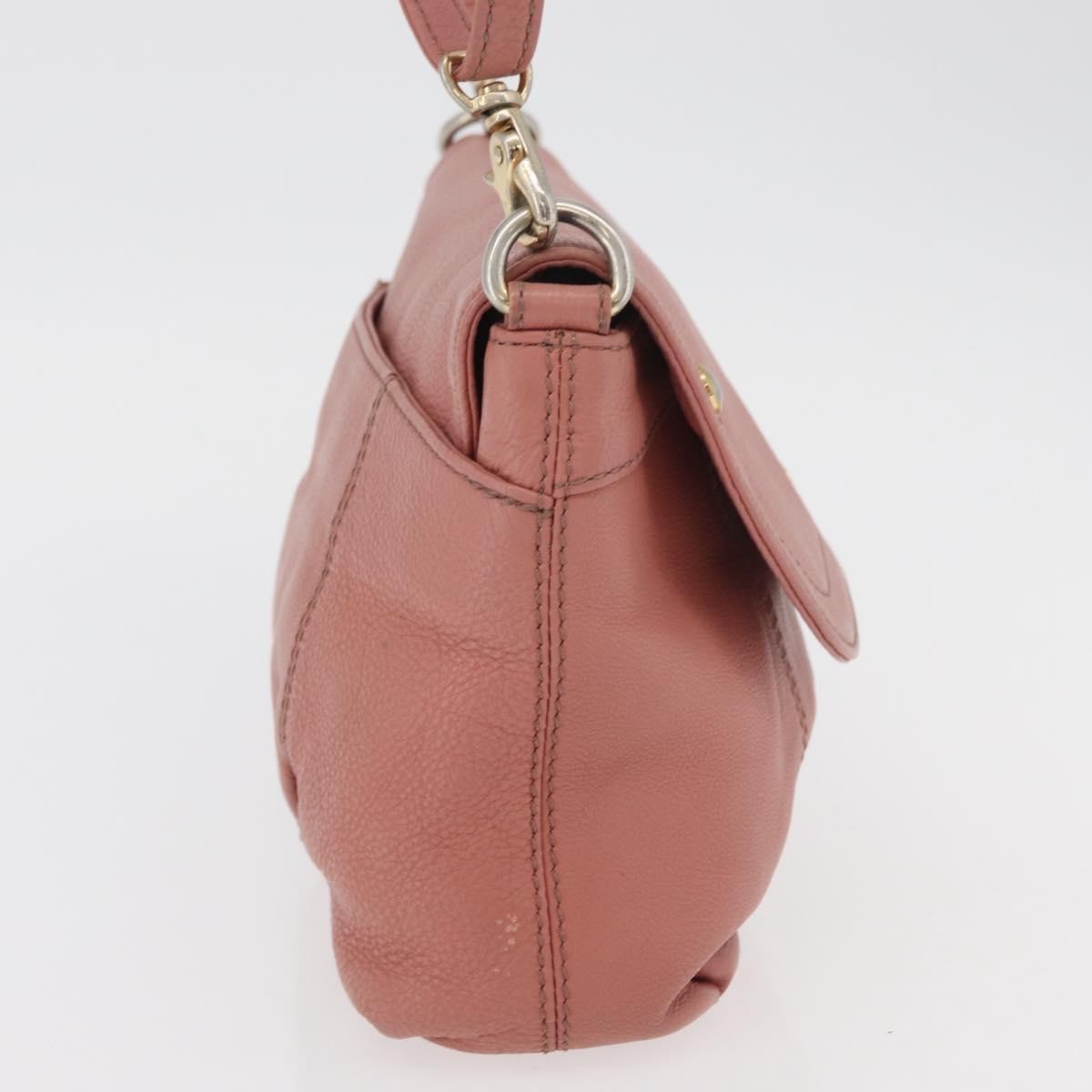 Burberry Blue Label Nylon Pink Leather Shoulder Bag Bag (Pre-Owned)
