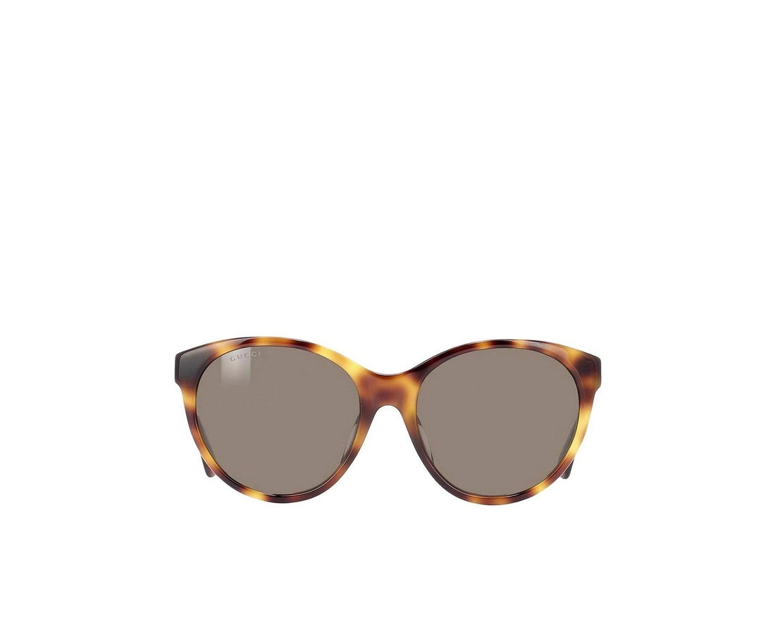 Havana Oversize Acetate Sunglasses