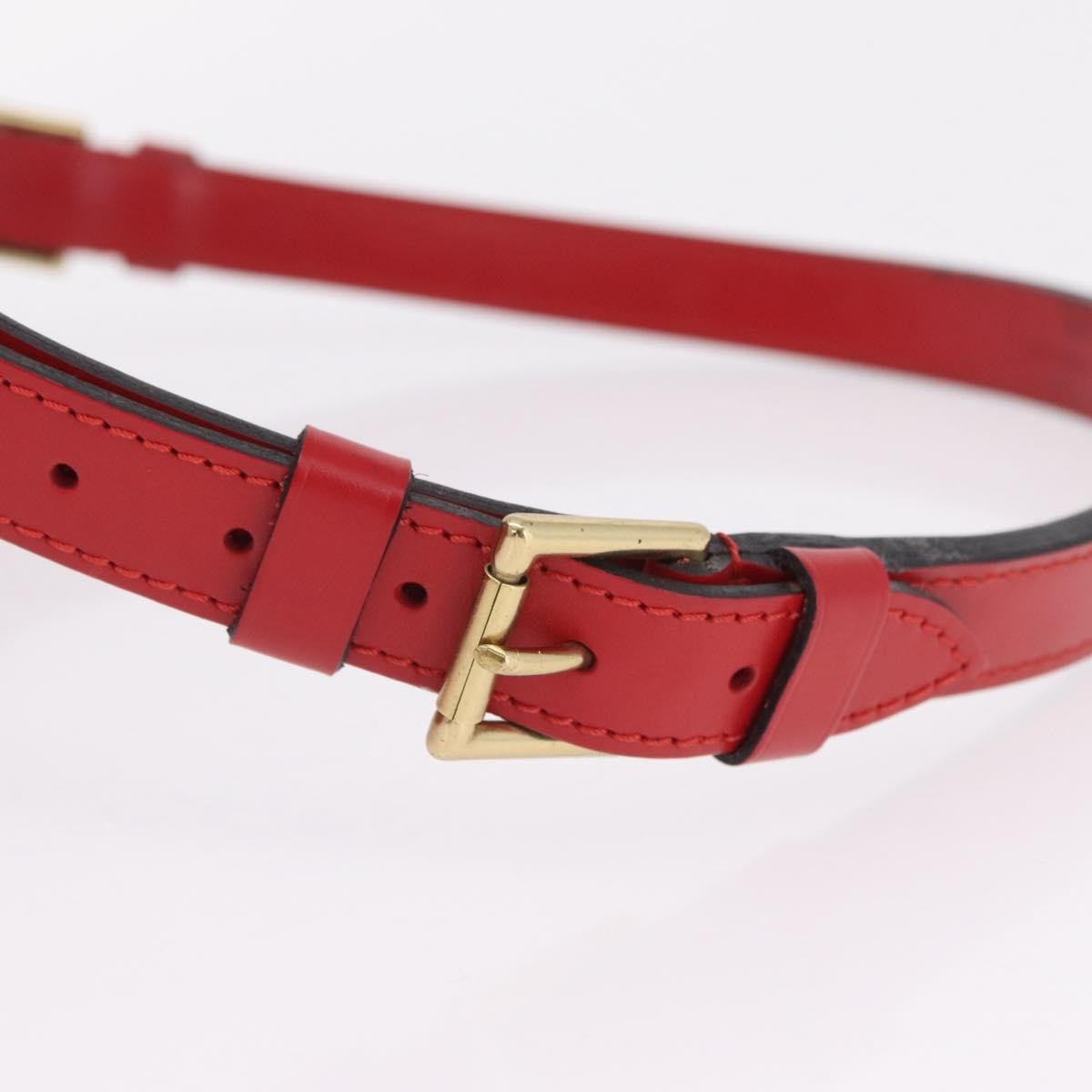Louis Vuitton Petit Noe Nm Epi Leather Red Leather Handbag (Pre-Owned)