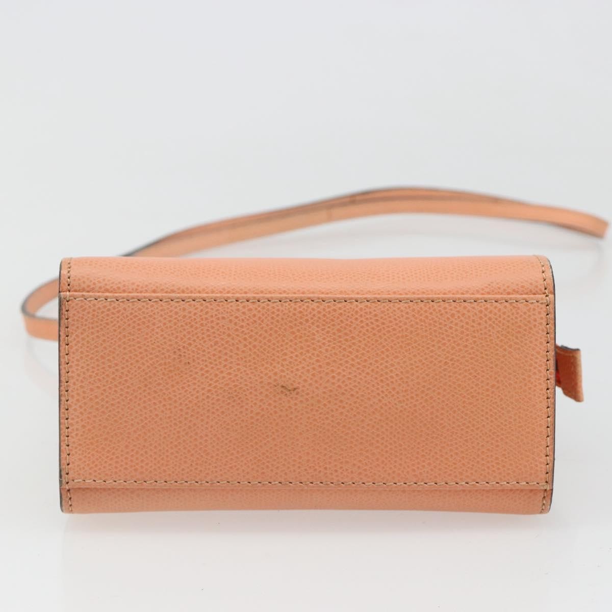 Celine Handbag Leather Orange Leather Handbag (Pre-Owned)
