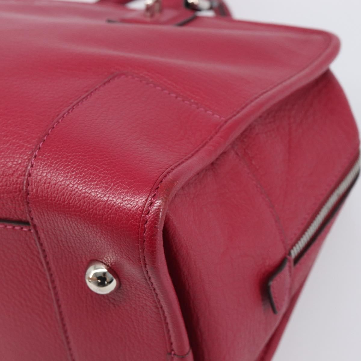 Loewe Amazona Leather Red Leather Handbag (Pre-Owned)