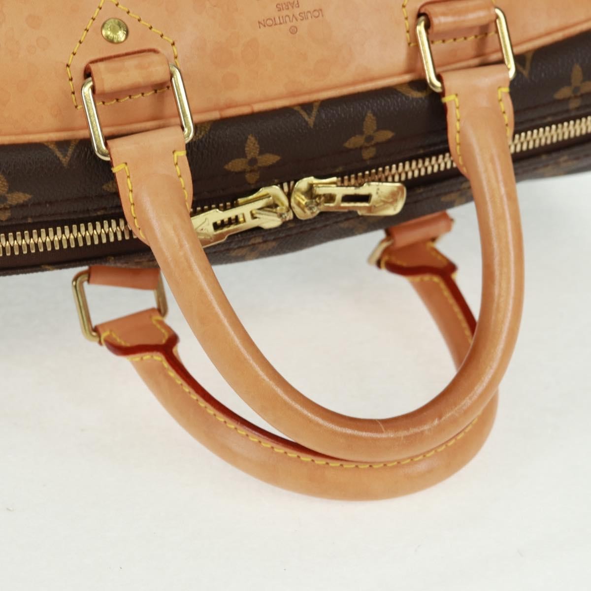 Louis Vuitton Evasion Monogram Canvas Brown Canvas Travel Bag Bag (Pre-Owned)