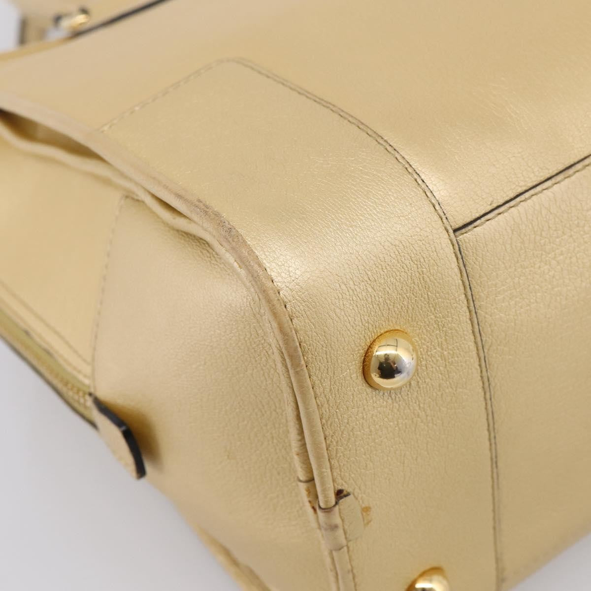 Loewe Amazona Leather Gold Leather Handbag (Pre-Owned)