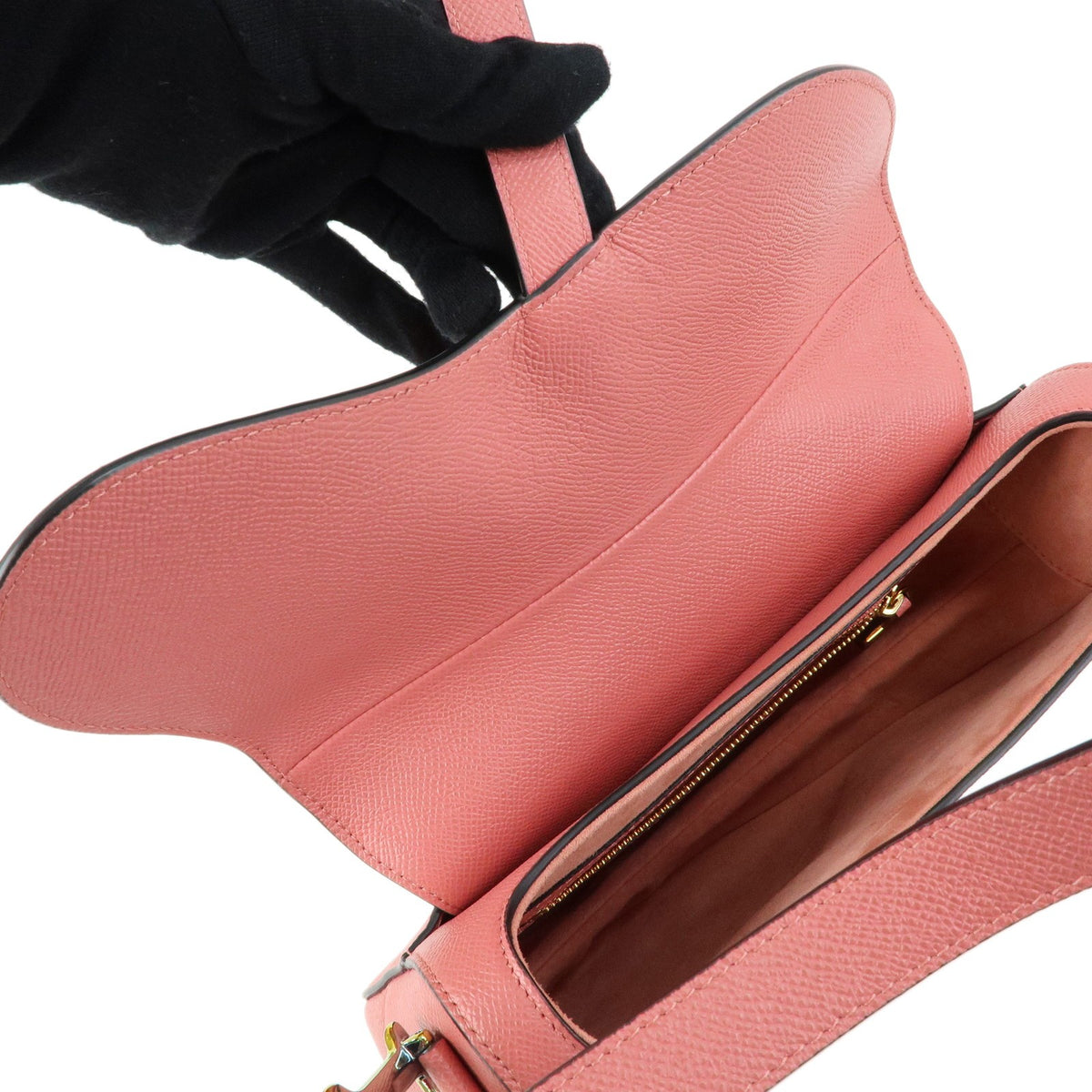 Christian Dior Saddle Embroidered Printed Leather Pink Leather Handbag (Pre-Owned)
