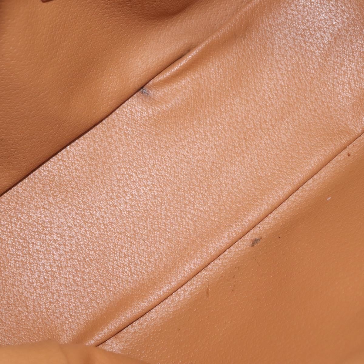 Celine Vintage Handbag Toile Céline Brown Canvas Handbag (Pre-Owned)
