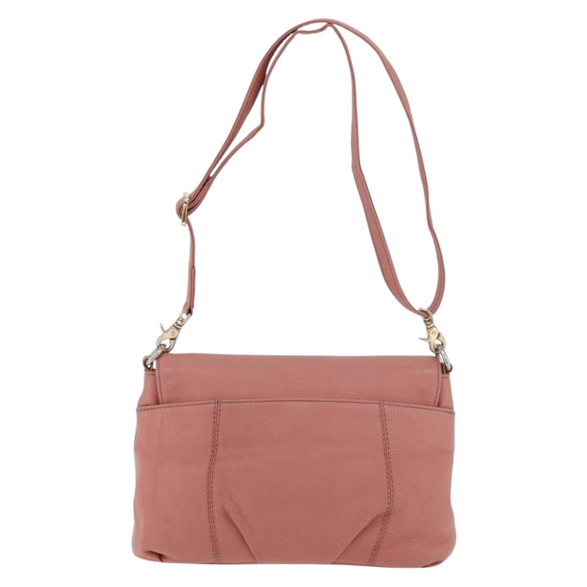 Burberry Blue Label Nylon Pink Leather Shoulder Bag Bag (Pre-Owned)