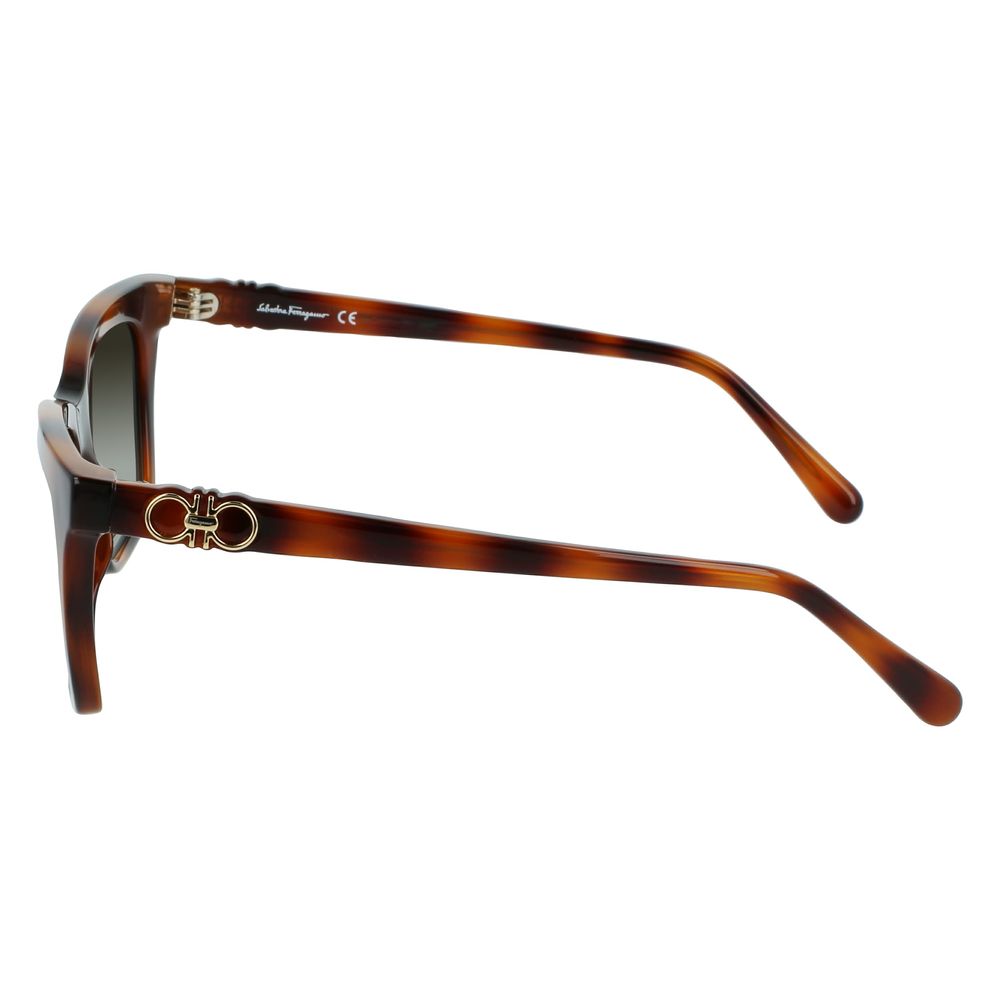 Ferragamo Brown Injected Women's Sunglasses