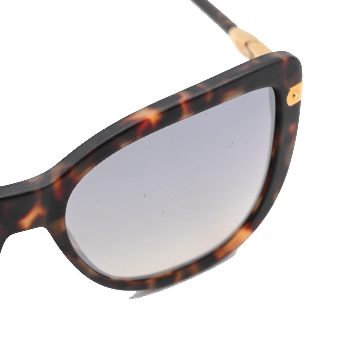 Louis Vuitton Charlotte Plastic Brown Plastic Sunglasse Accessory (Pre-Owned)
