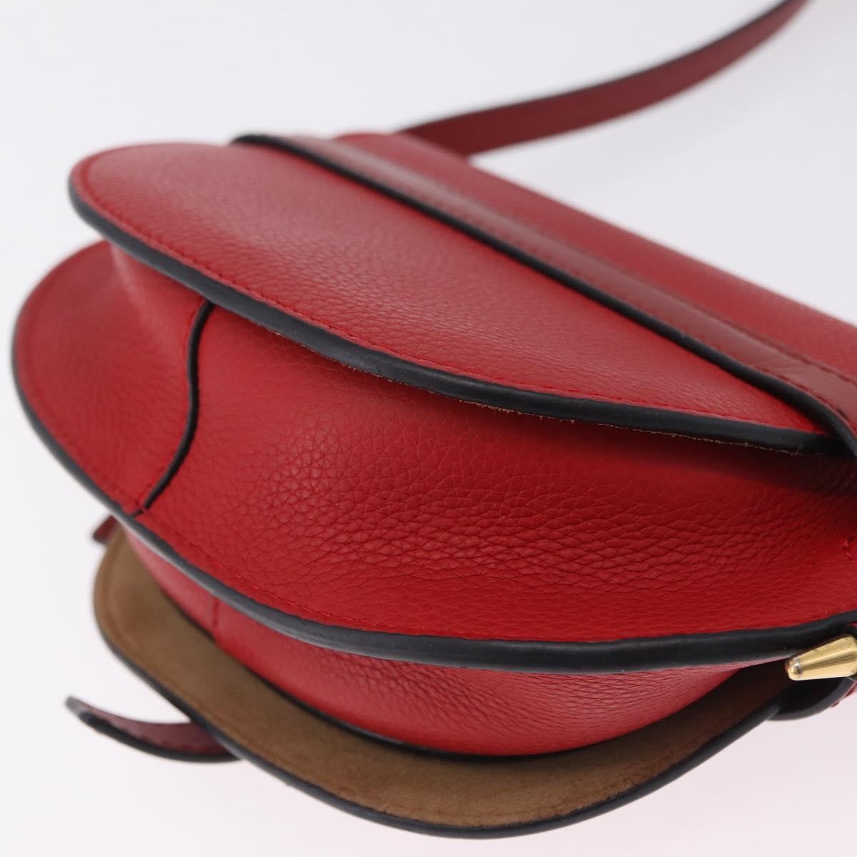 Loewe Metal Gate Leather Red Leather Shoulder Bag Bag (Pre-Owned)