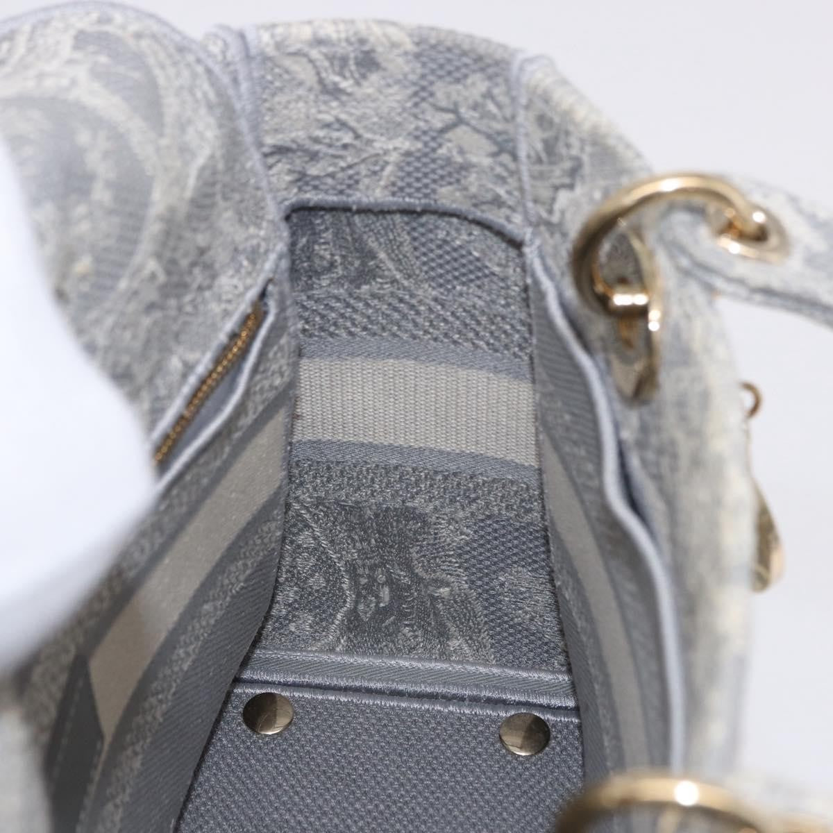 Christian Dior Lady Dior Embroidered Canvas Gray Canvas Handbag (Pre-Owned)