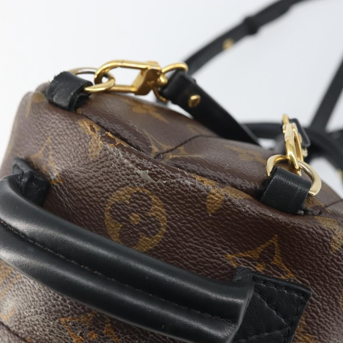 Louis Vuitton Palm Springs Monogram Canvas Brown Canvas Backpack Bag (Pre-Owned)