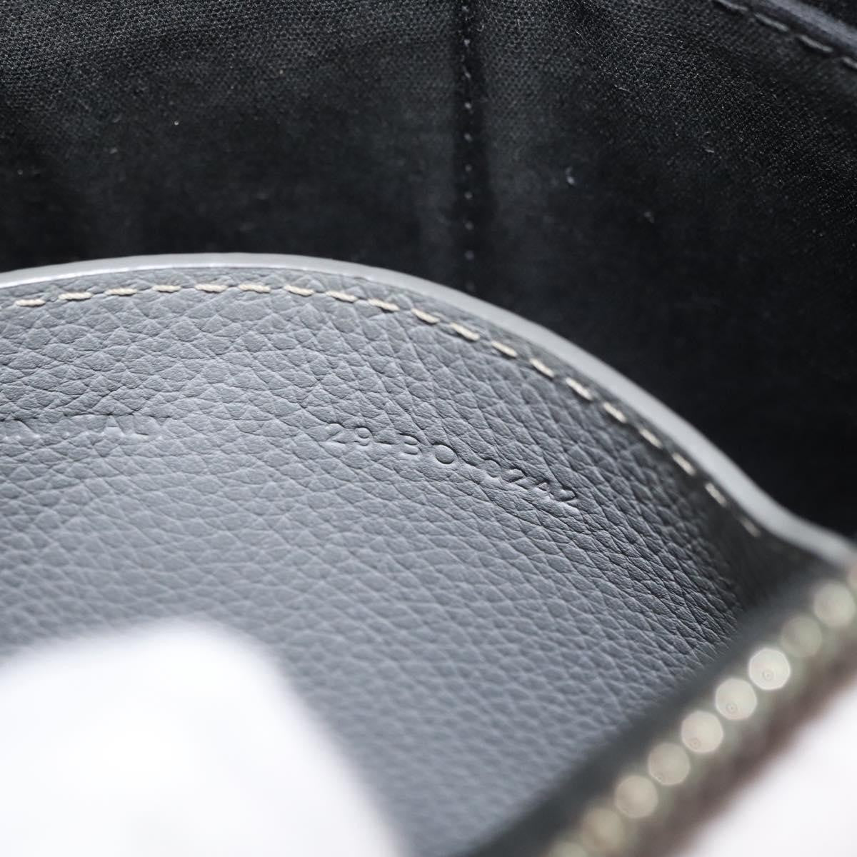 Christian Dior Clutch Leather Gray Leather Clutche & Pouche Bag (Pre-Owned)
